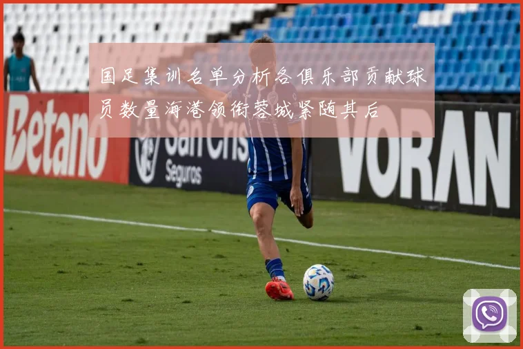 国足集训名单分析各俱乐部贡献球员数量海港领衔蓉城紧随其后