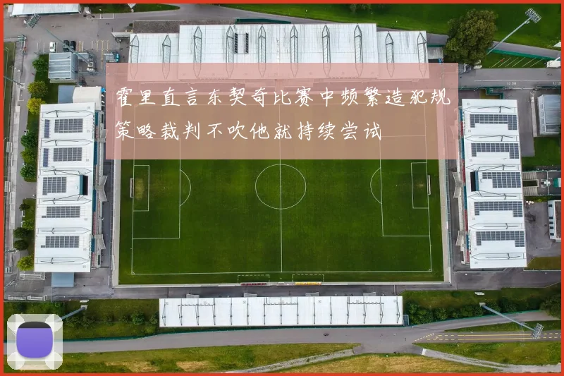 霍里直言东契奇比赛中频繁造犯规策略裁判不吹他就持续尝试