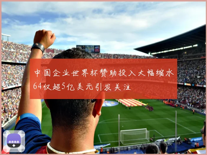 中国企业世界杯赞助投入大幅缩水64仅超5亿美元引发关注