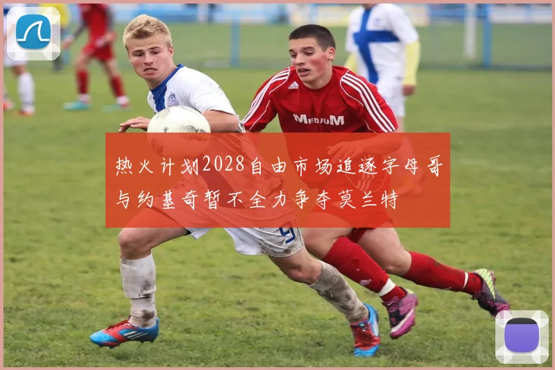 热火计划2028自由市场追逐字母哥与约基奇暂不全力争夺莫兰特
